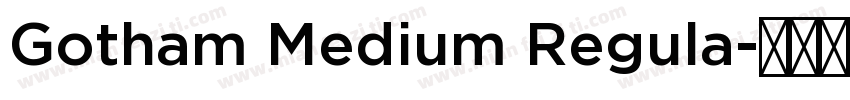 Gotham Medium Regula字体转换